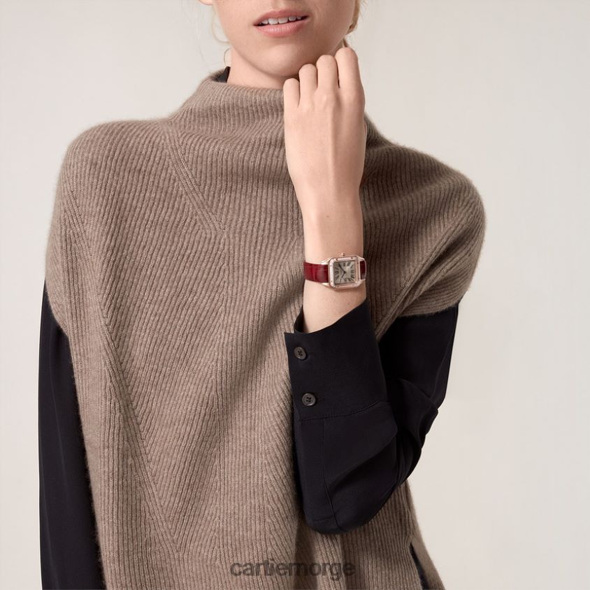 tilbehør Cartier santos-dumont klokke stilig F4466N882