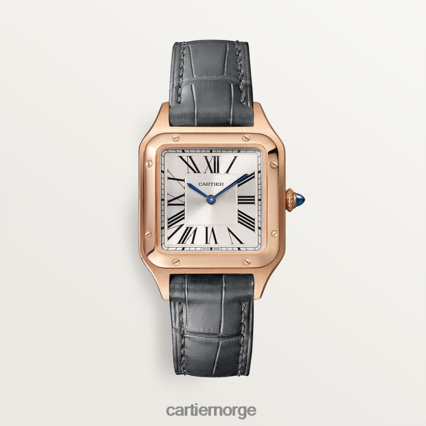 tilbehør Cartier santos-dumont klokke stilig F4466N883