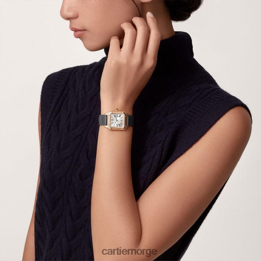 tilbehør Cartier santos-dumont klokke stilig F4466N883