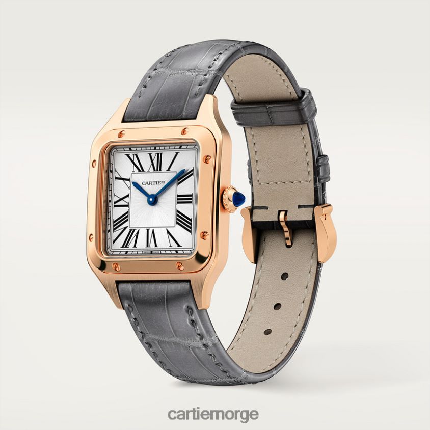 tilbehør Cartier santos-dumont klokke stilig F4466N883