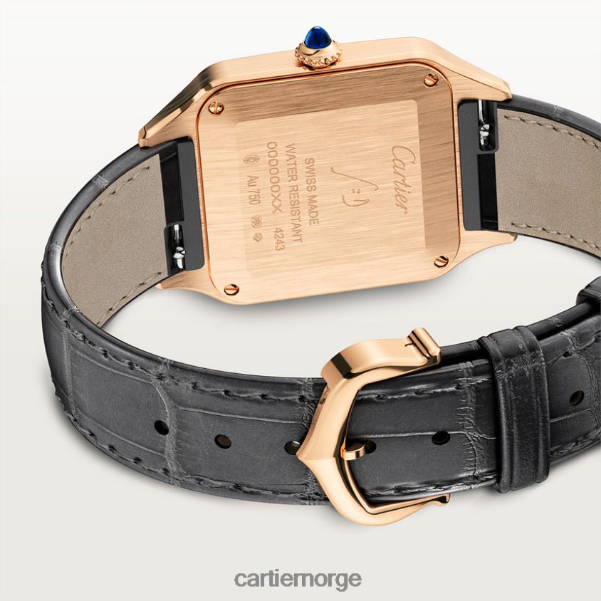 tilbehør Cartier santos-dumont klokke stilig F4466N883