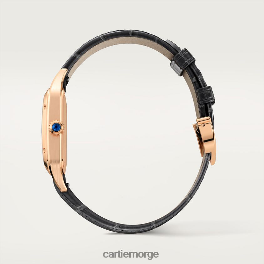 tilbehør Cartier santos-dumont klokke stilig F4466N883