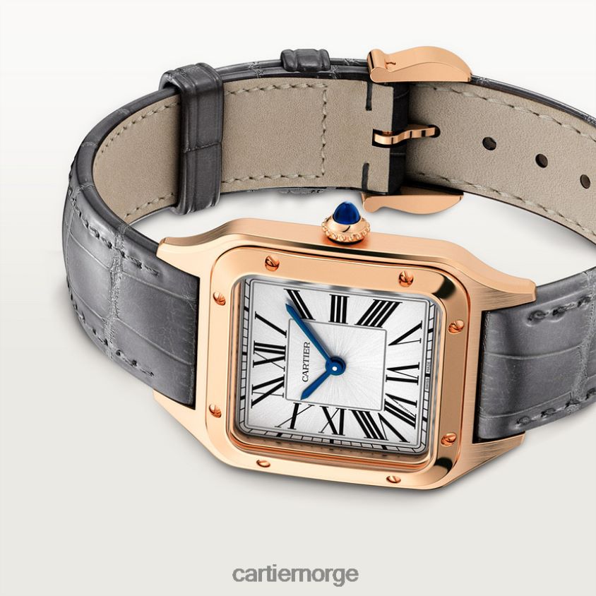 tilbehør Cartier santos-dumont klokke stilig F4466N883