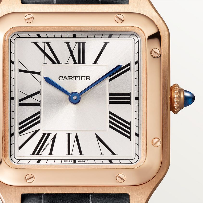 tilbehør Cartier santos-dumont klokke stilig F4466N883