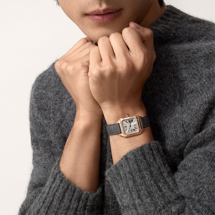 tilbehør Cartier santos-dumont klokke stilig F4466N883