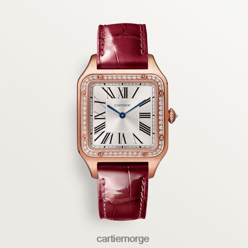 tilbehør Cartier santos-dumont klokke stilig F4466N888