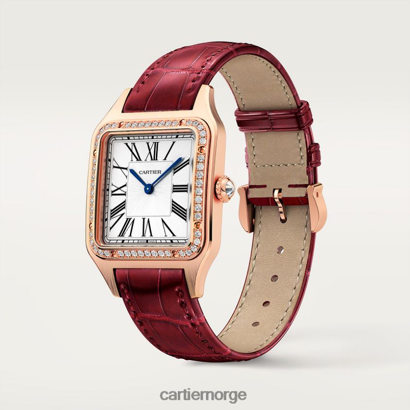 tilbehør Cartier santos-dumont klokke stilig F4466N888