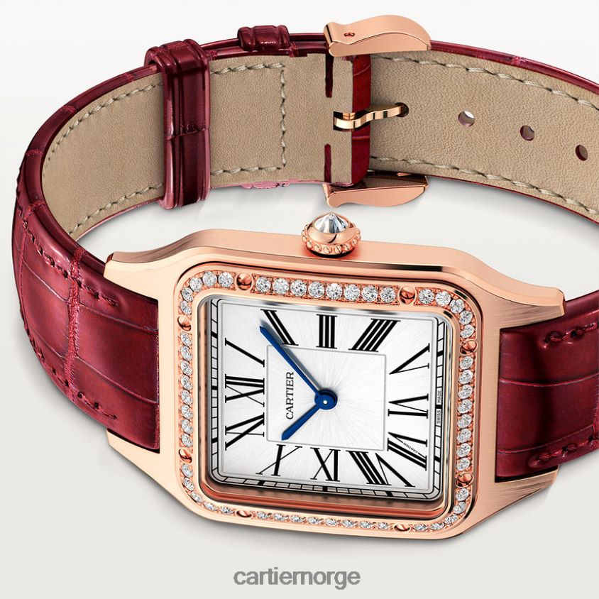 tilbehør Cartier santos-dumont klokke stilig F4466N888