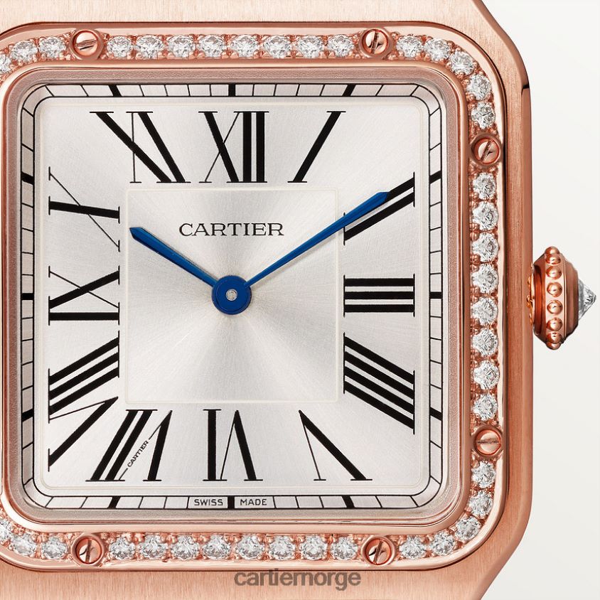 tilbehør Cartier santos-dumont klokke stilig F4466N888