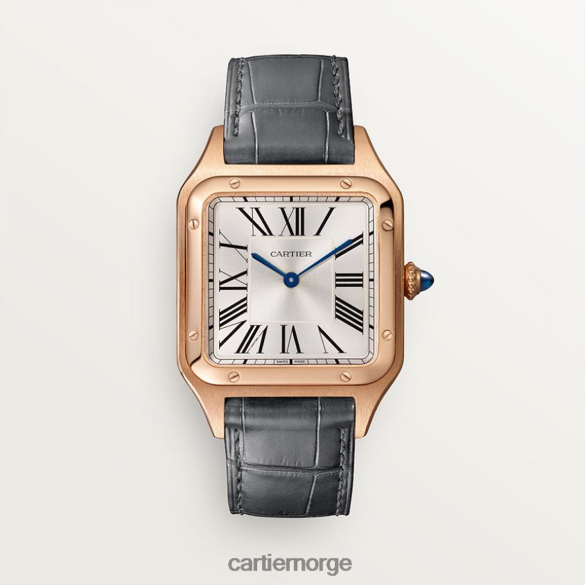 tilbehør Cartier santos-dumont klokke stilig F4466N889