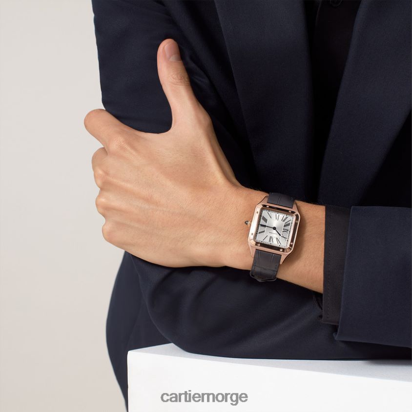 tilbehør Cartier santos-dumont klokke stilig F4466N889