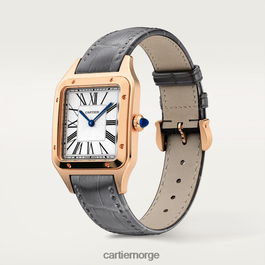 tilbehør Cartier santos-dumont klokke stilig F4466N889