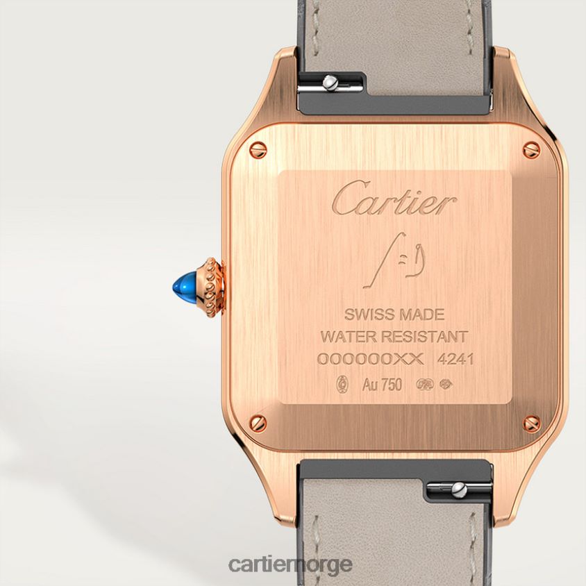 tilbehør Cartier santos-dumont klokke stilig F4466N889