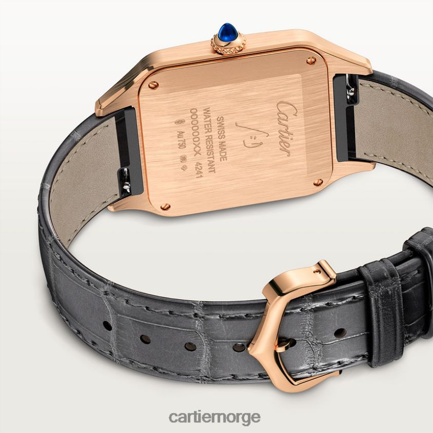 tilbehør Cartier santos-dumont klokke stilig F4466N889