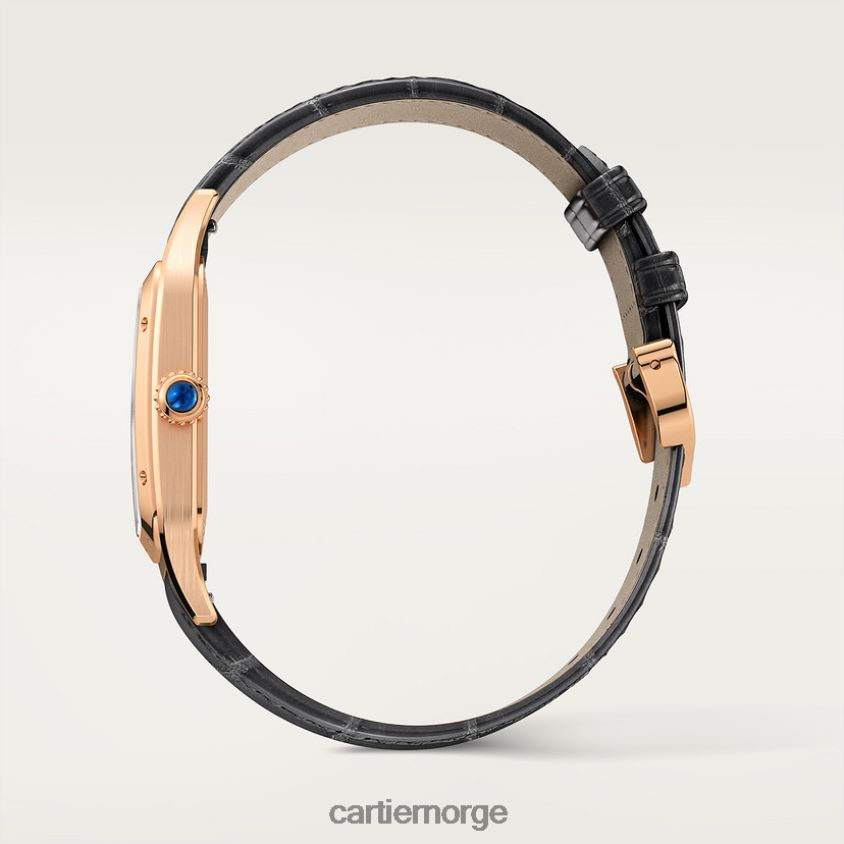 tilbehør Cartier santos-dumont klokke stilig F4466N889