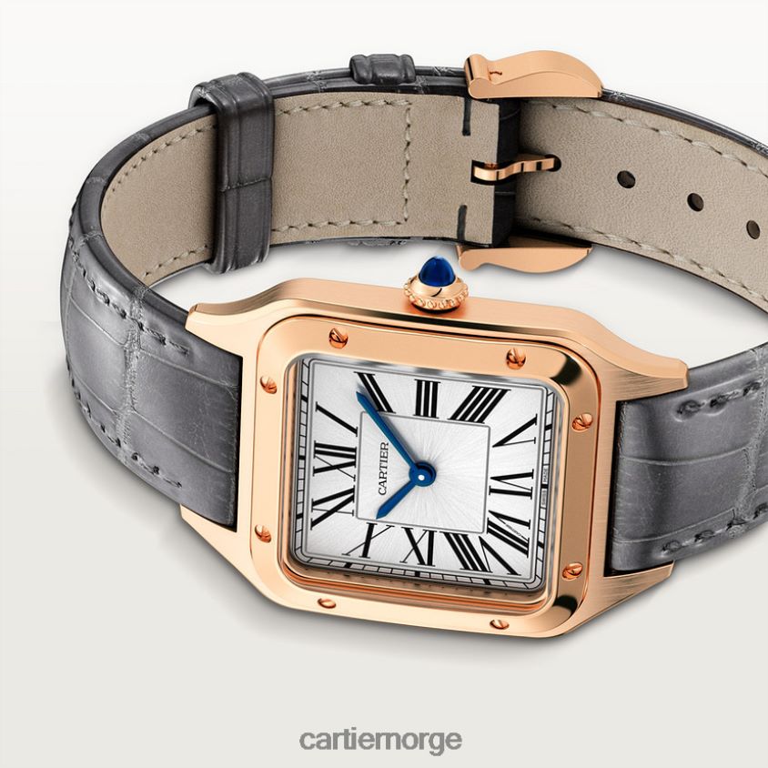 tilbehør Cartier santos-dumont klokke stilig F4466N889