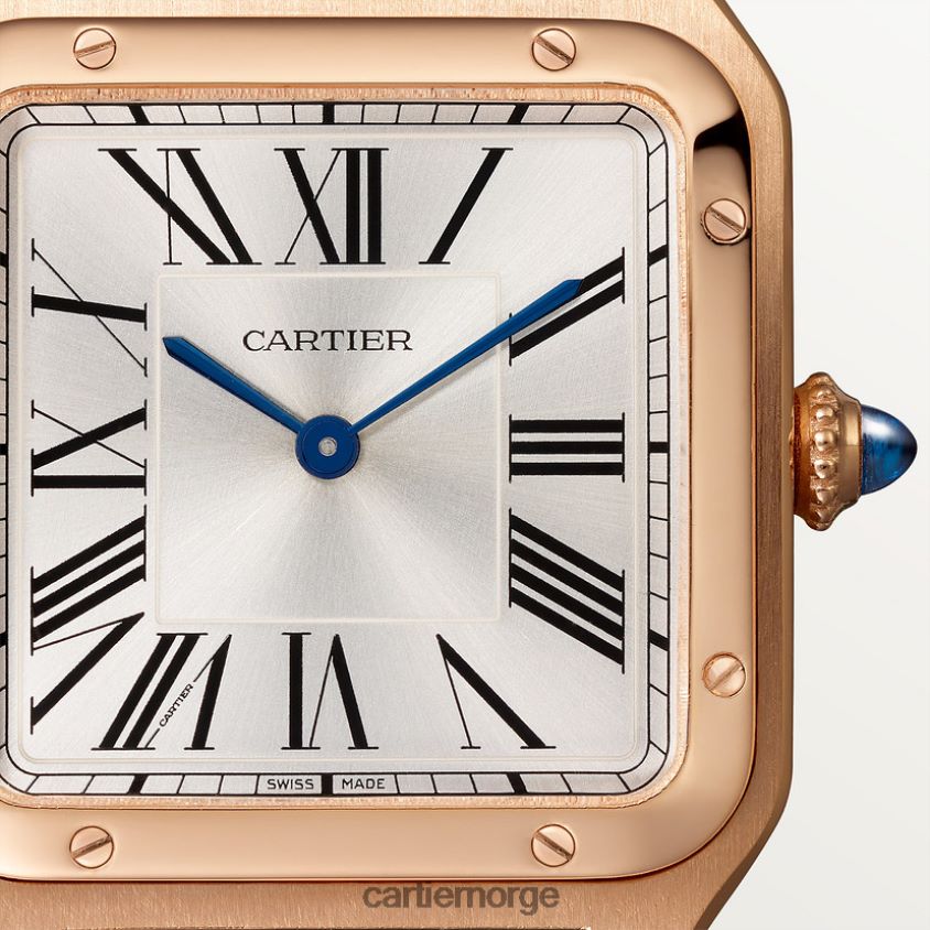 tilbehør Cartier santos-dumont klokke stilig F4466N889