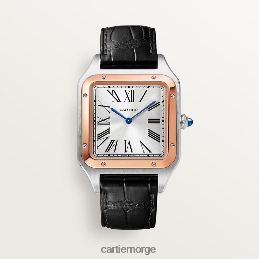 tilbehør Cartier santos-dumont klokke stilig F4466N891