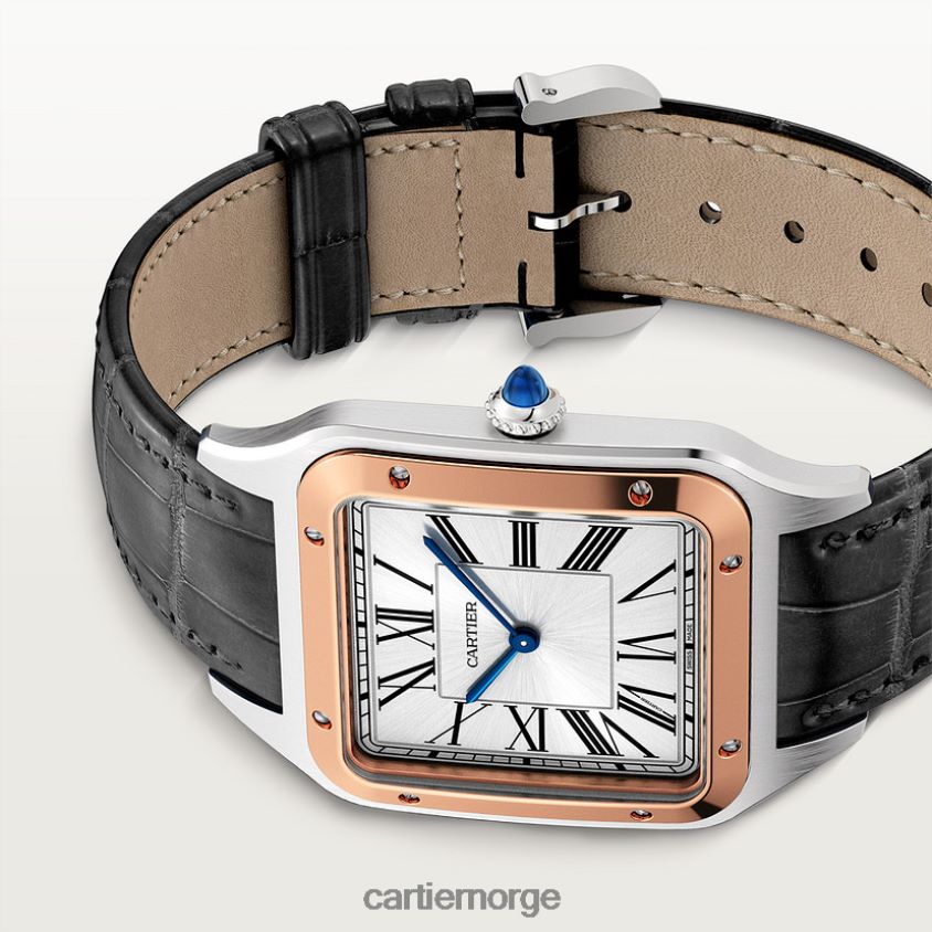 tilbehør Cartier santos-dumont klokke stilig F4466N891