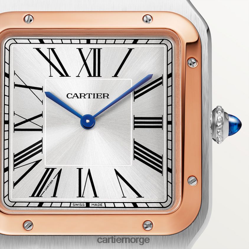 tilbehør Cartier santos-dumont klokke stilig F4466N891