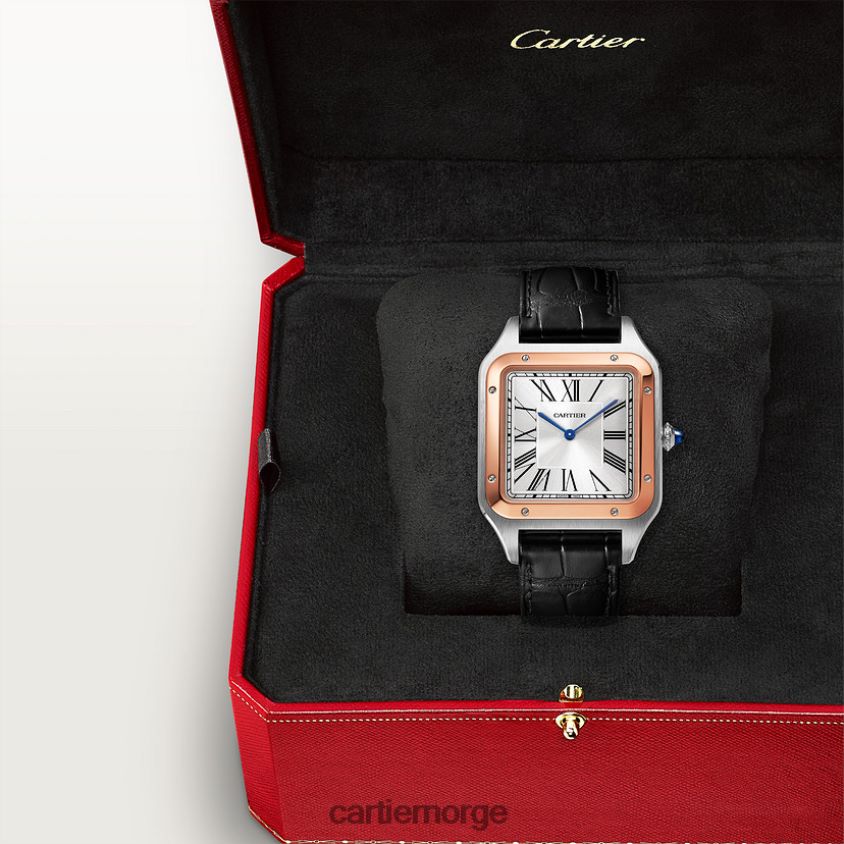 tilbehør Cartier santos-dumont klokke stilig F4466N891