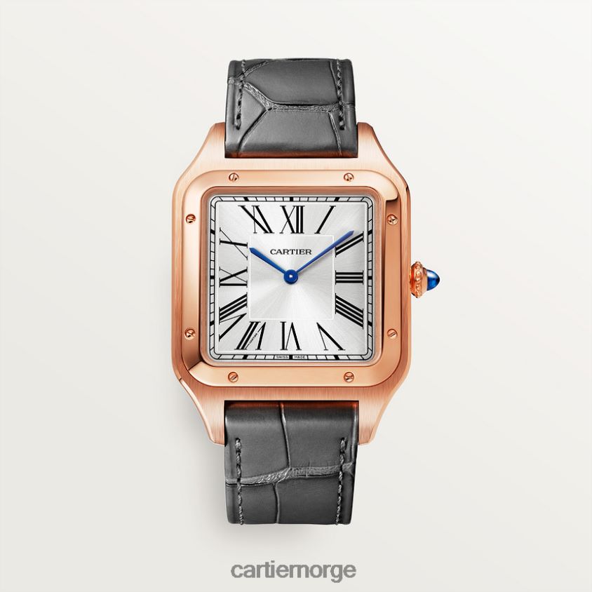 tilbehør Cartier santos-dumont klokke stilig F4466N892