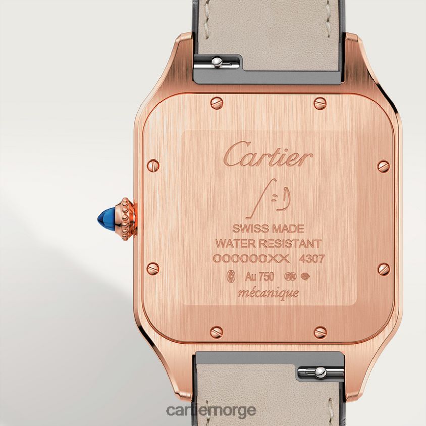 tilbehør Cartier santos-dumont klokke stilig F4466N892