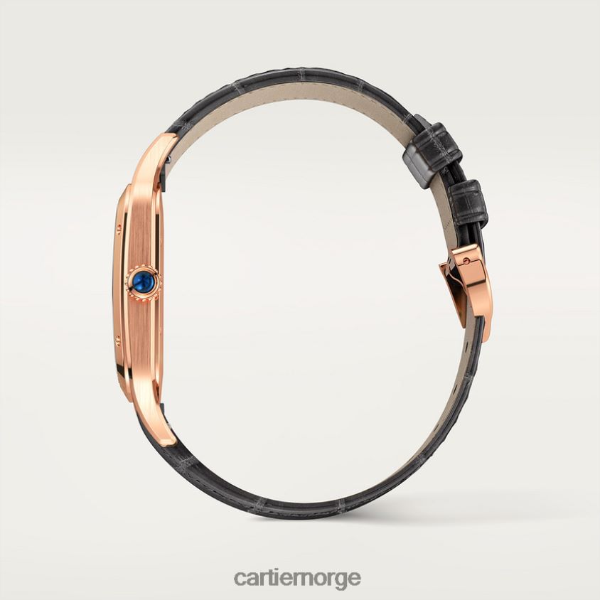 tilbehør Cartier santos-dumont klokke stilig F4466N892