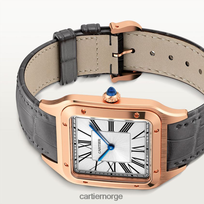 tilbehør Cartier santos-dumont klokke stilig F4466N892