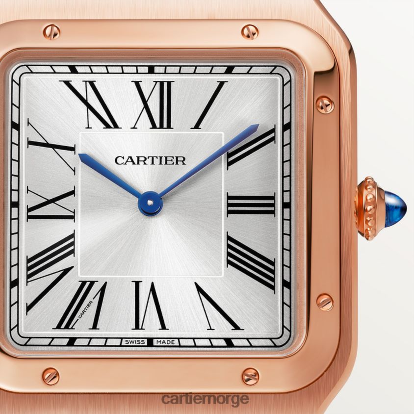 tilbehør Cartier santos-dumont klokke stilig F4466N892