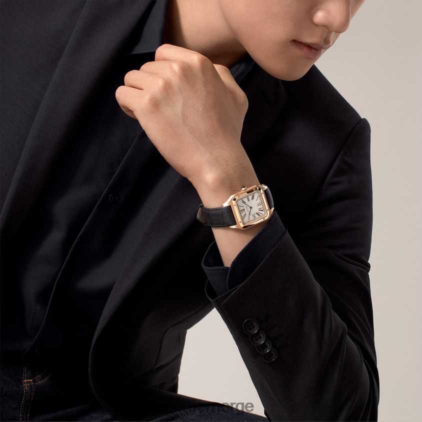 tilbehør Cartier santos-dumont klokke stilig F4466N892