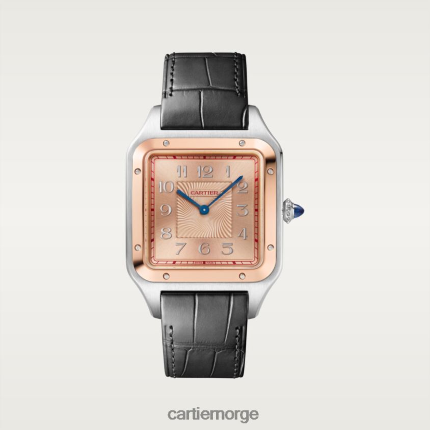 tilbehør Cartier santos-dumont klokke stilig F4466N897