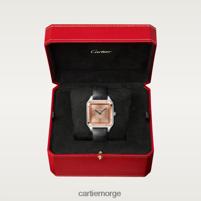 tilbehør Cartier santos-dumont klokke stilig F4466N897