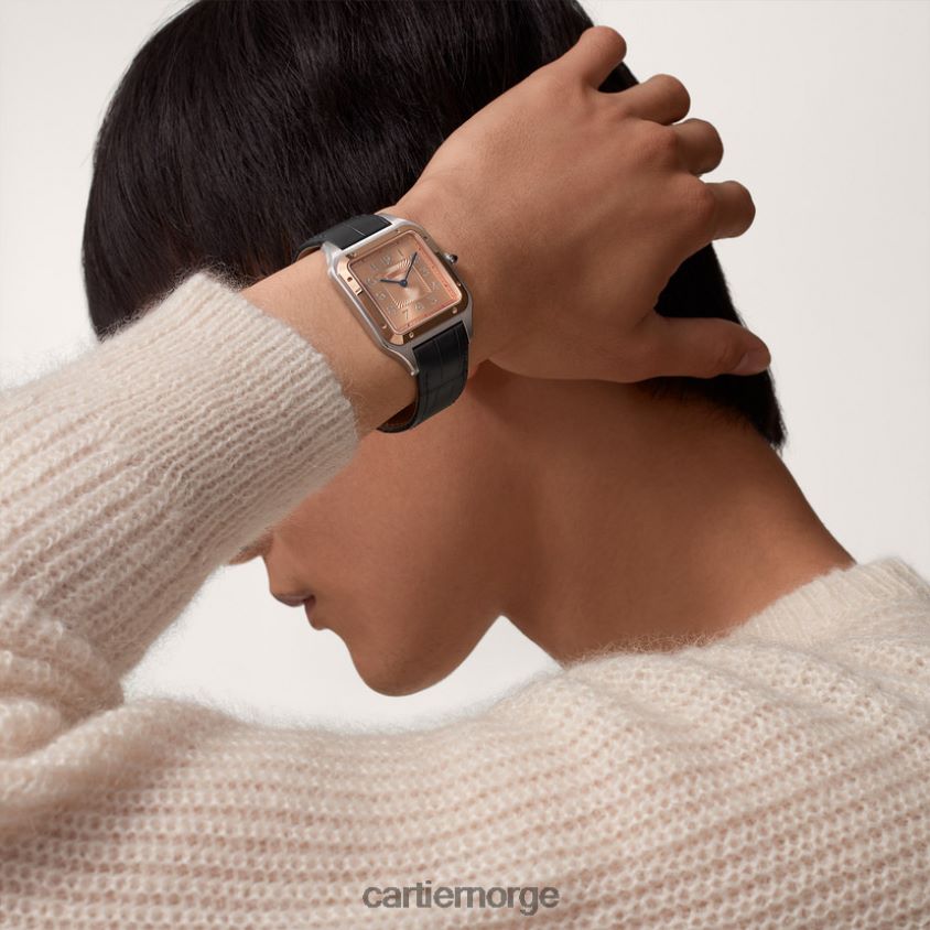 tilbehør Cartier santos-dumont klokke stilig F4466N897