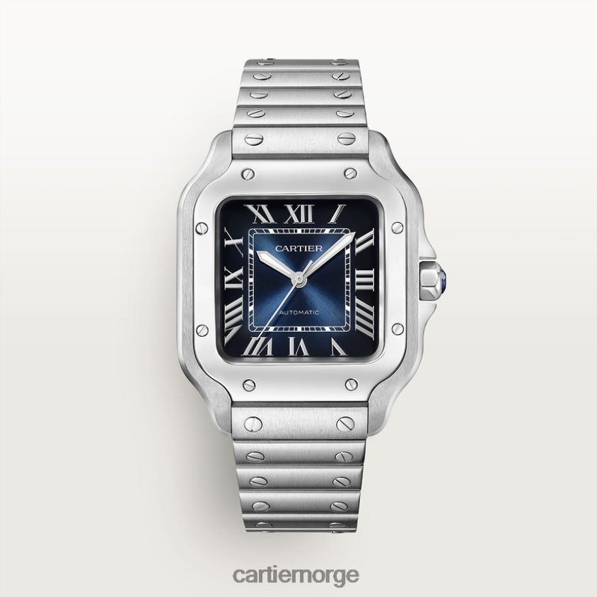 tilbehør Cartier santos klokke stilig F4466N861