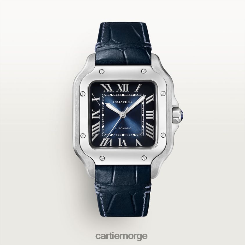 tilbehør Cartier santos klokke stilig F4466N861