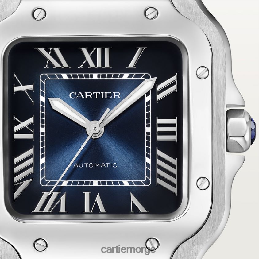 tilbehør Cartier santos klokke stilig F4466N861