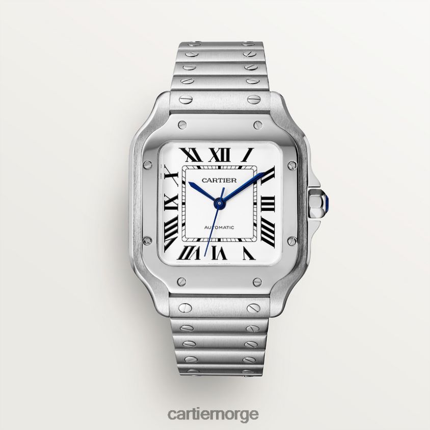 tilbehør Cartier santos klokke stilig F4466N862