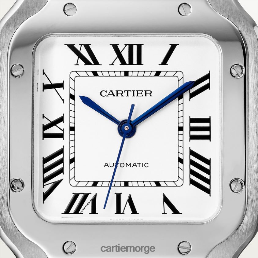 tilbehør Cartier santos klokke stilig F4466N862