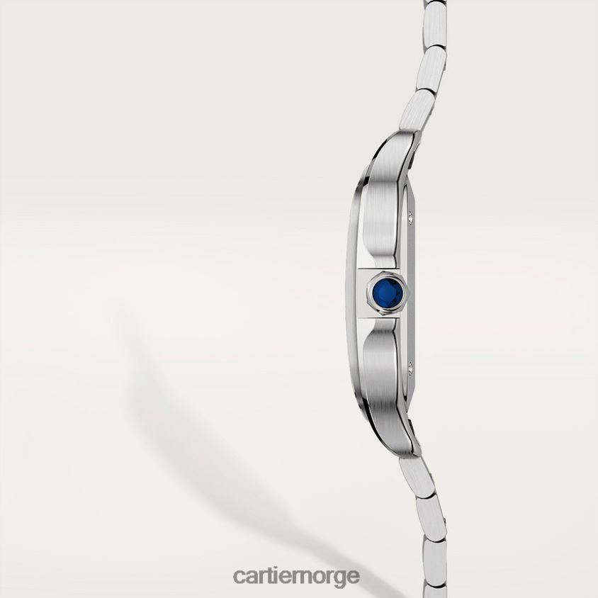 tilbehør Cartier santos klokke stilig F4466N862