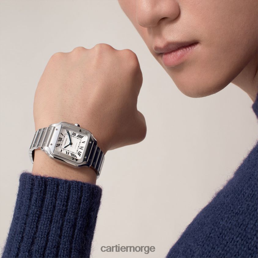 tilbehør Cartier santos klokke stilig F4466N862