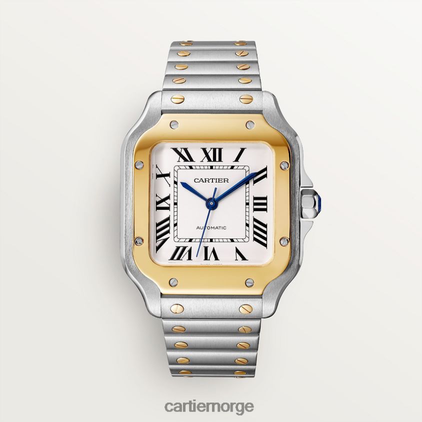 tilbehør Cartier santos klokke stilig F4466N863