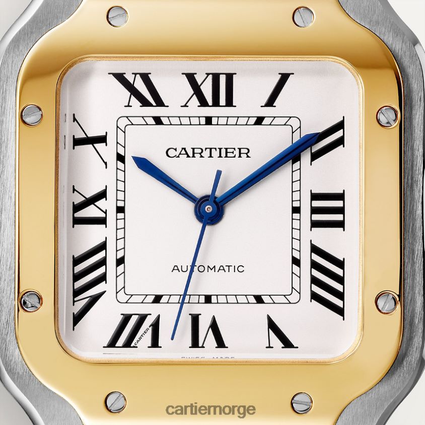 tilbehør Cartier santos klokke stilig F4466N863