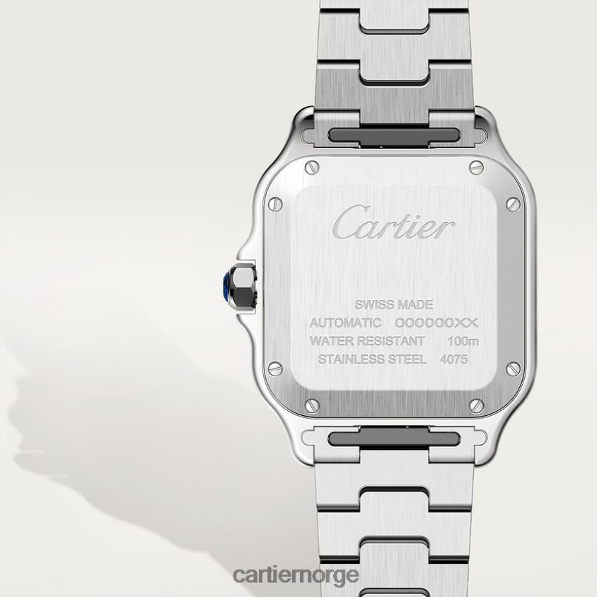 tilbehør Cartier santos klokke stilig F4466N863