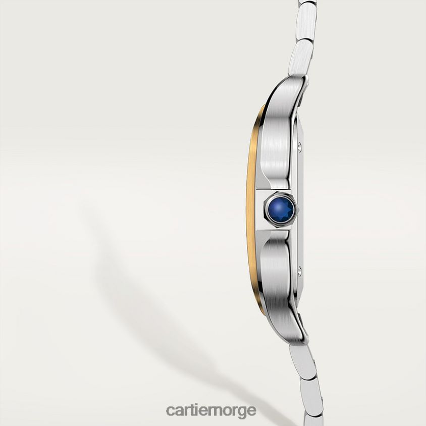 tilbehør Cartier santos klokke stilig F4466N863