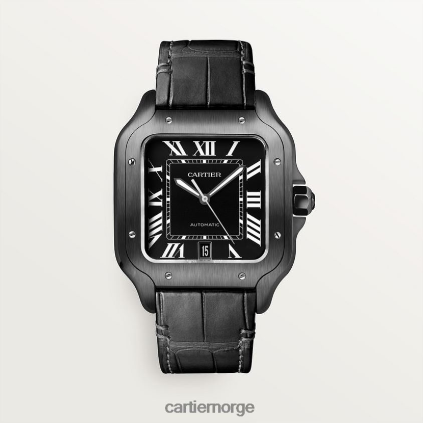 tilbehør Cartier santos klokke stilig F4466N864