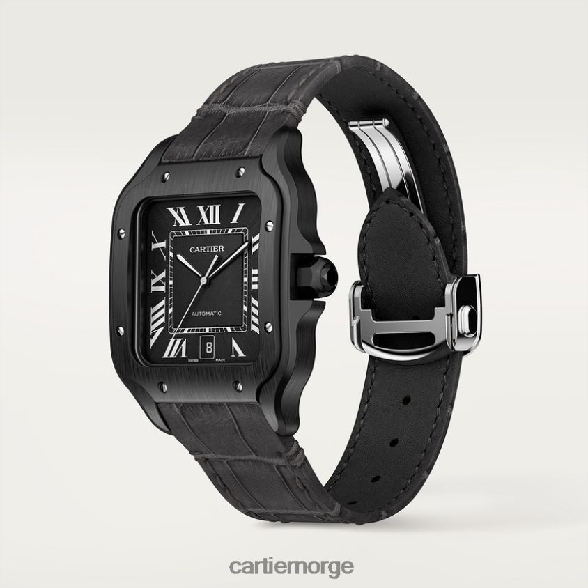 tilbehør Cartier santos klokke stilig F4466N864