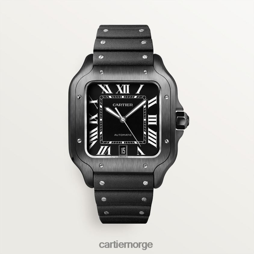 tilbehør Cartier santos klokke stilig F4466N864