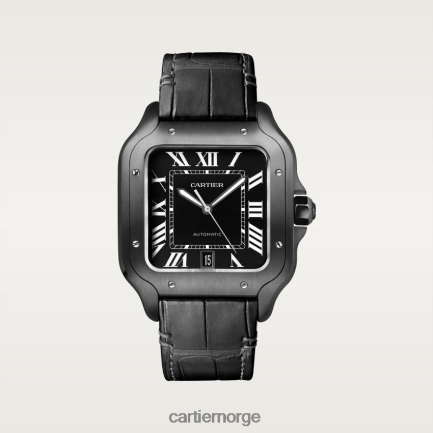 tilbehør Cartier santos klokke stilig F4466N864