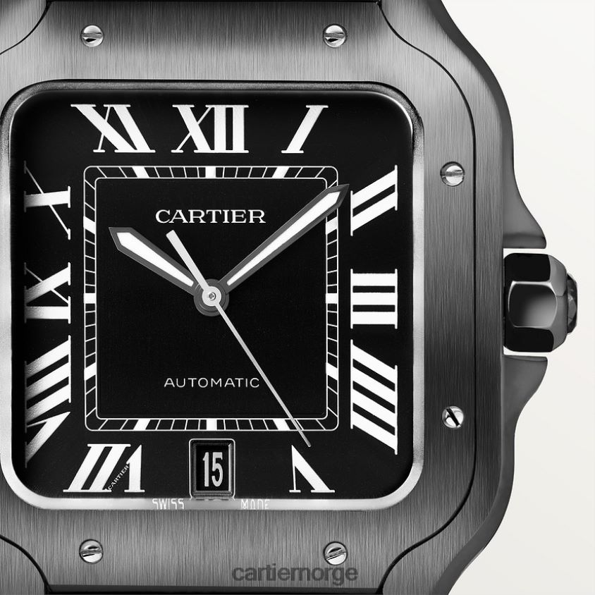tilbehør Cartier santos klokke stilig F4466N864